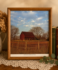 Framed Art